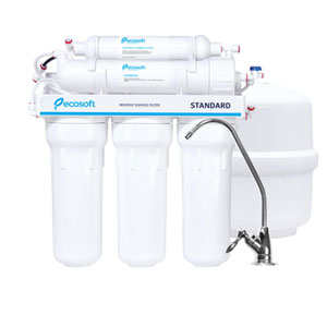 Ecosoft 6th Stage Add-On Coconut Carbon Water Filter System