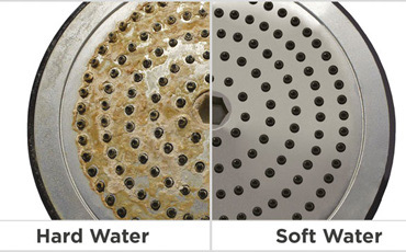 Shower Water Filter Reviews